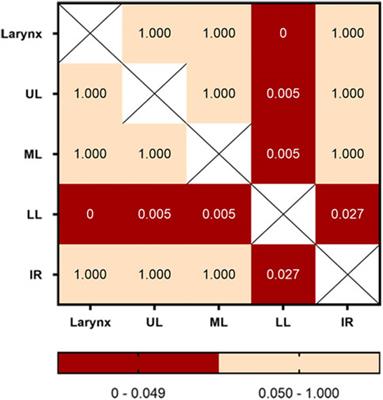 Regularity and mechanism of fake crackle noise in an electronic stethoscope